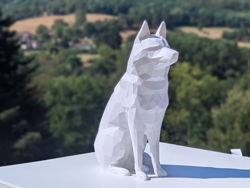 Husky
